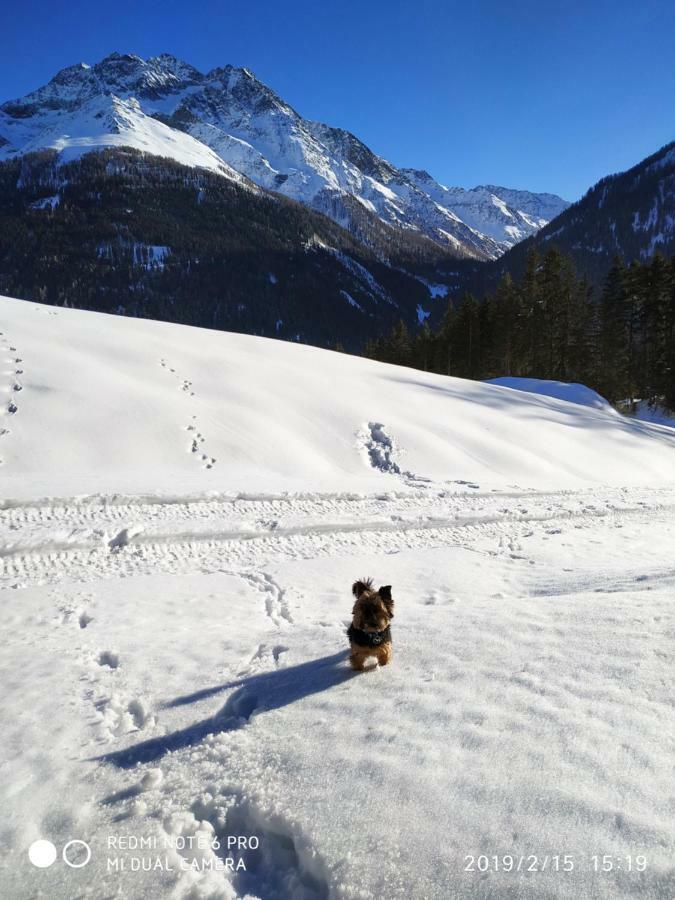 Ferienwohnung Haus Walch Pettneu am Arlberg Exterior foto